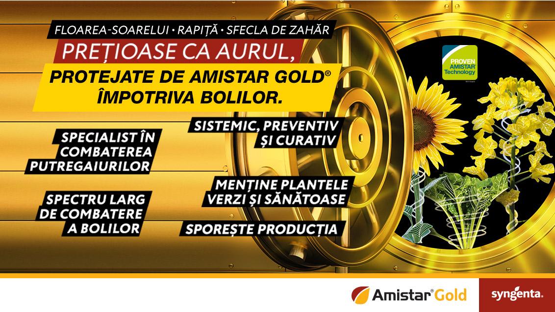 Amistar Gold home page corectat