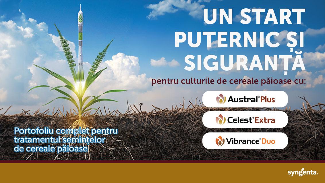 Tratament samanta cereale 2024