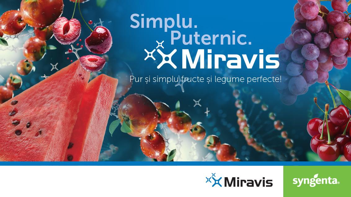 Home page Miravis