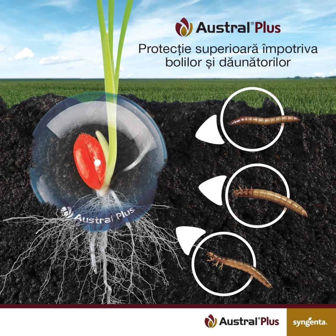 Austral Plus banner 2