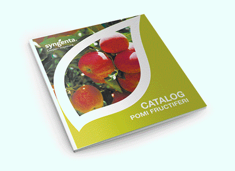 Banner brosuri si cataloage 2025