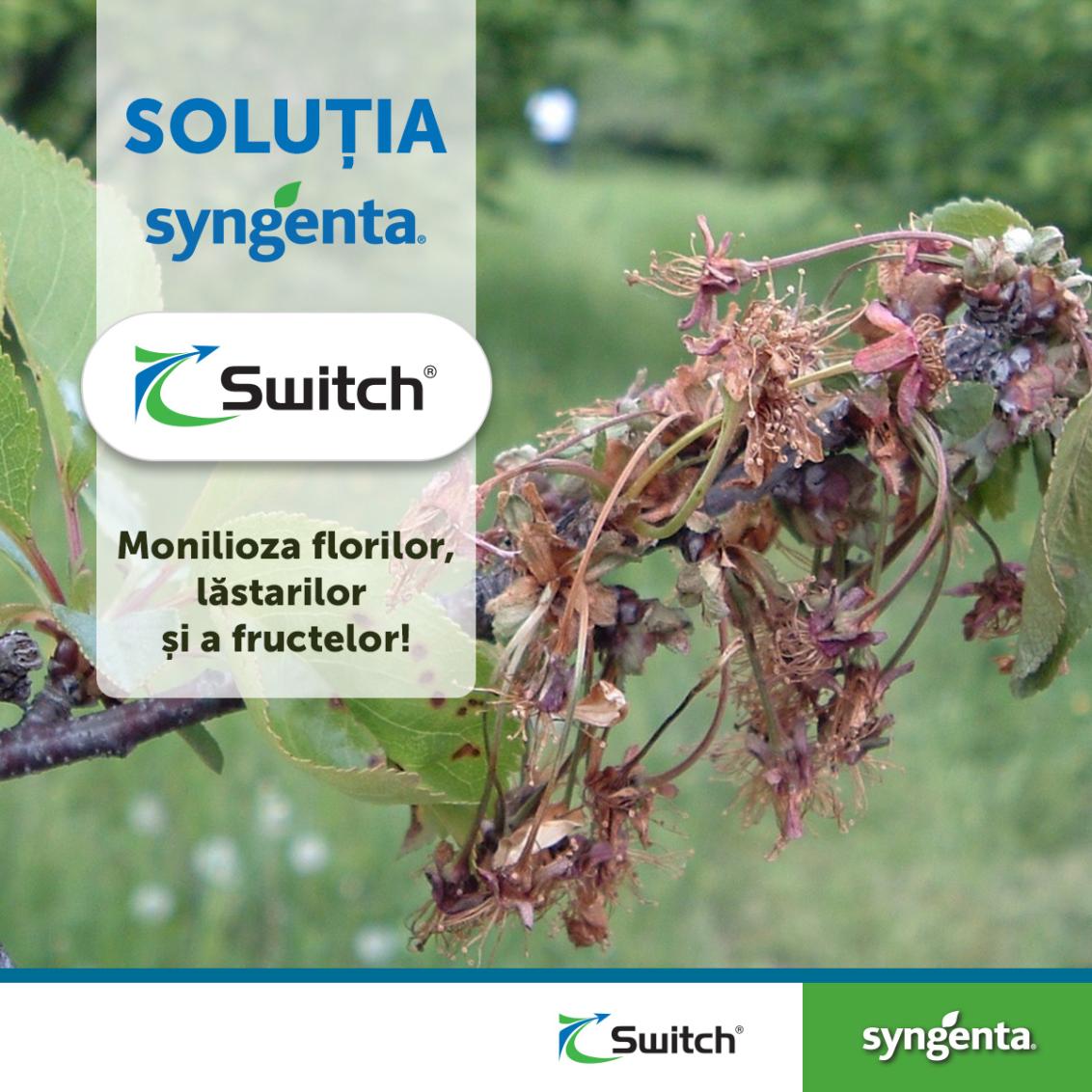 banner switch monilia