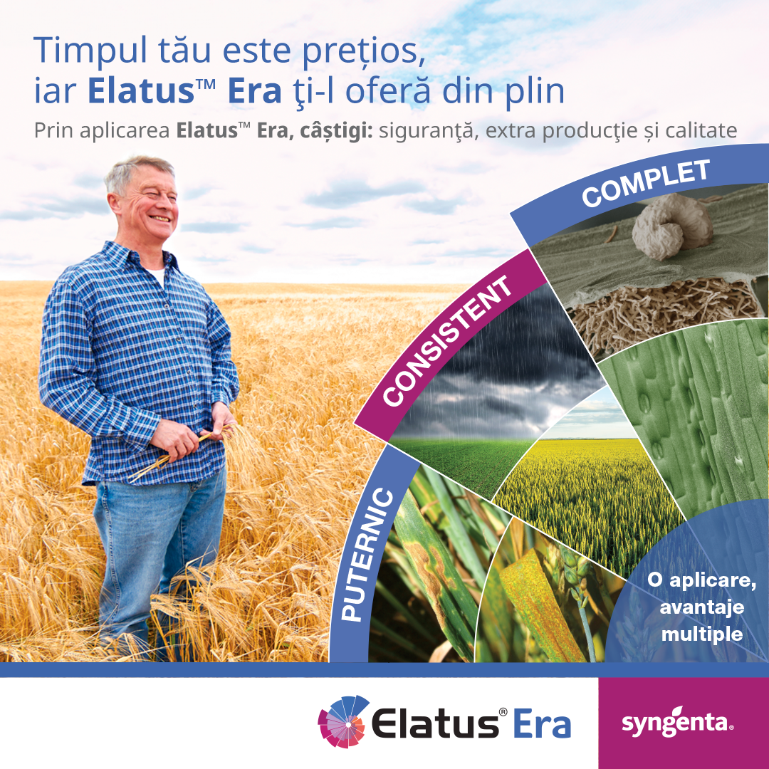 Elatus Era banner