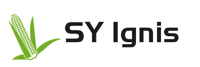 logo SY Ignis
