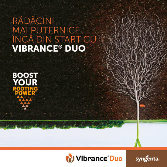 Vibrance Duo Banner