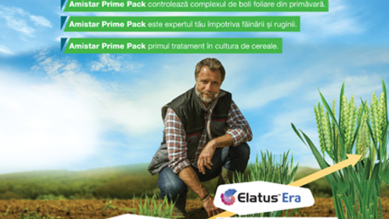 Amistar Prime PAck