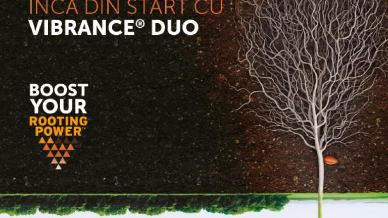 Vibrance Duo Banner