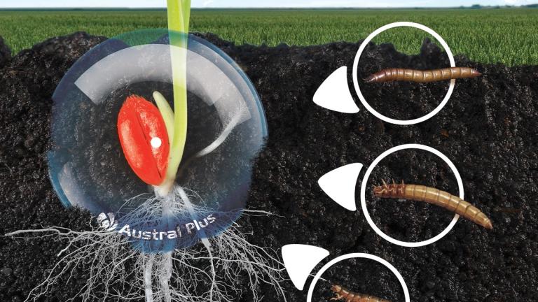 Austral Plus banner 2