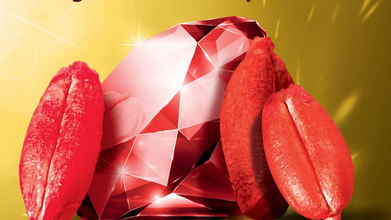 Celest Extra Banner