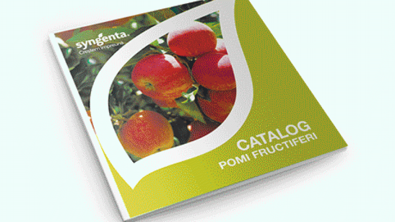 Banner brosuri si cataloage 2025