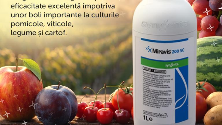 MIRAVIS
