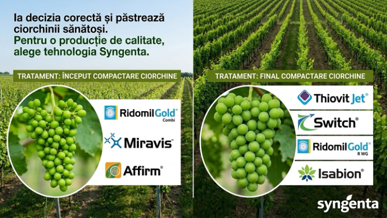 cover compactare 2