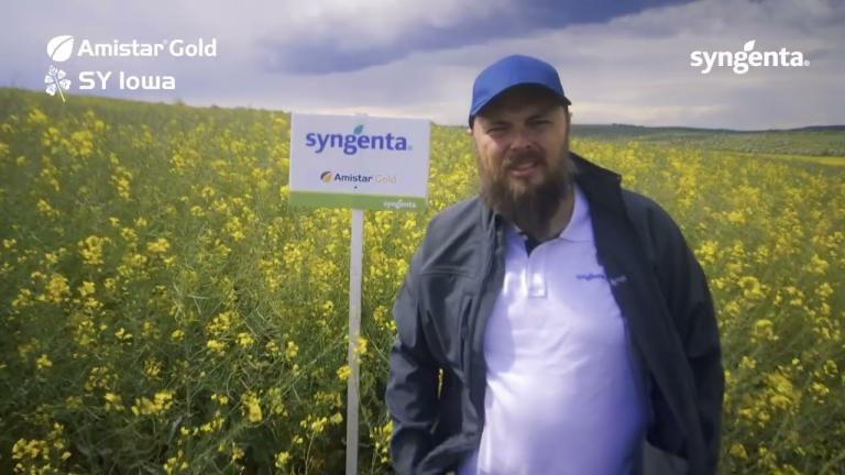 Amistar Gold si SY Iowa la Regalagronord SRL