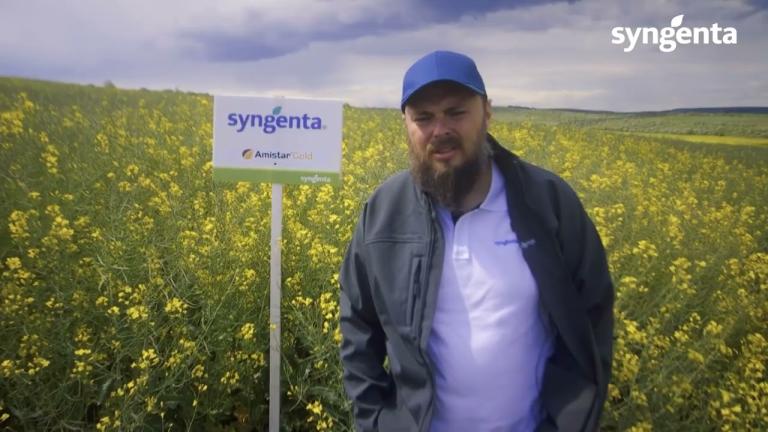Firma Regalagronord: controlul bolilor la rapiță cu Amistar Gold