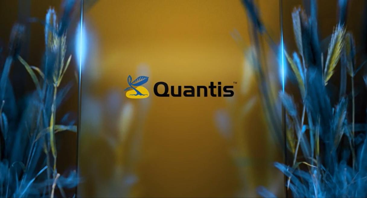 Quantis cover