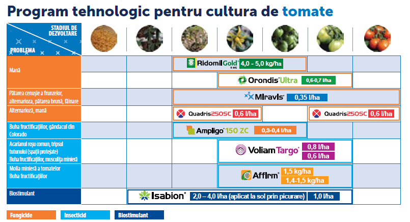 program tomate 2025