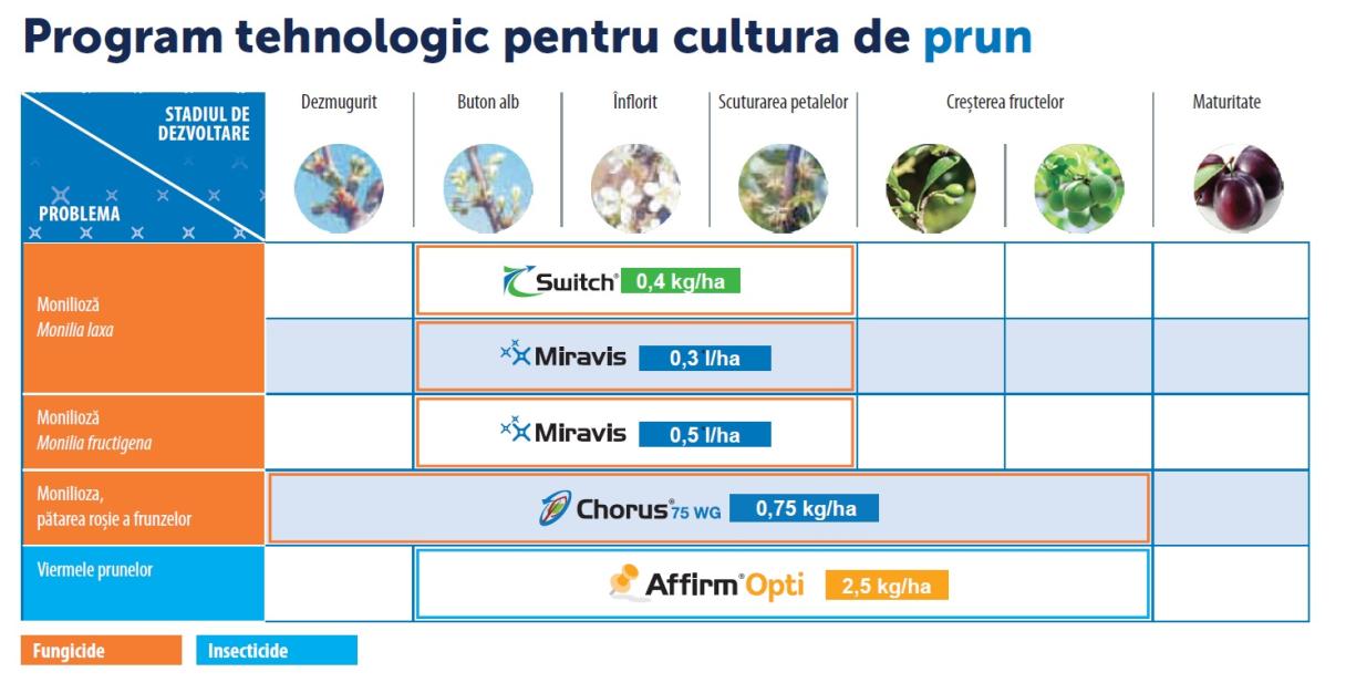 program prun 2025