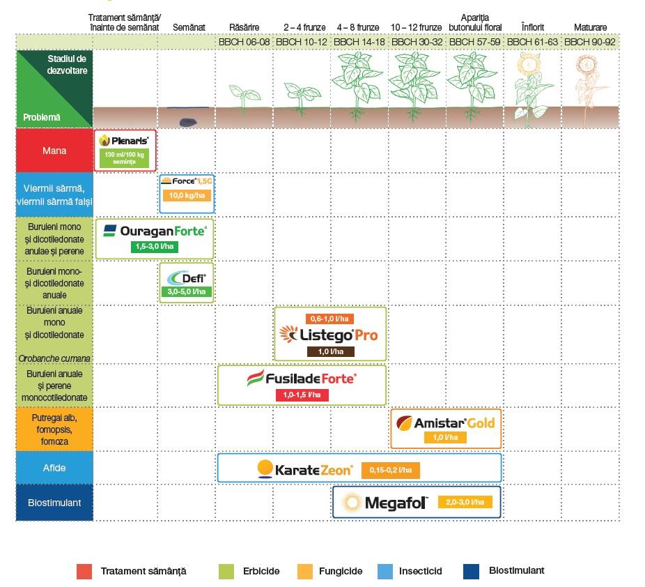program floare 2025