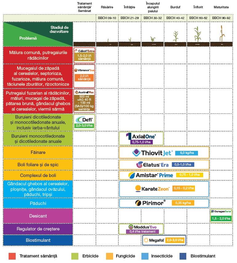 Program grau 2025