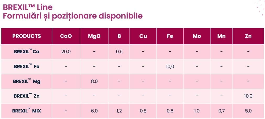 brexil formulare 1