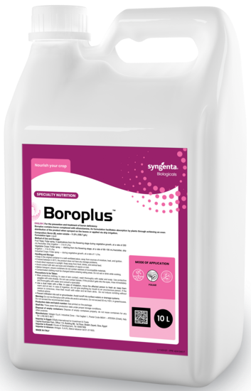 Boroplus botle