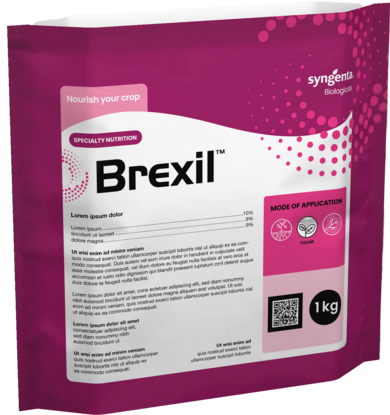 brexil bag
