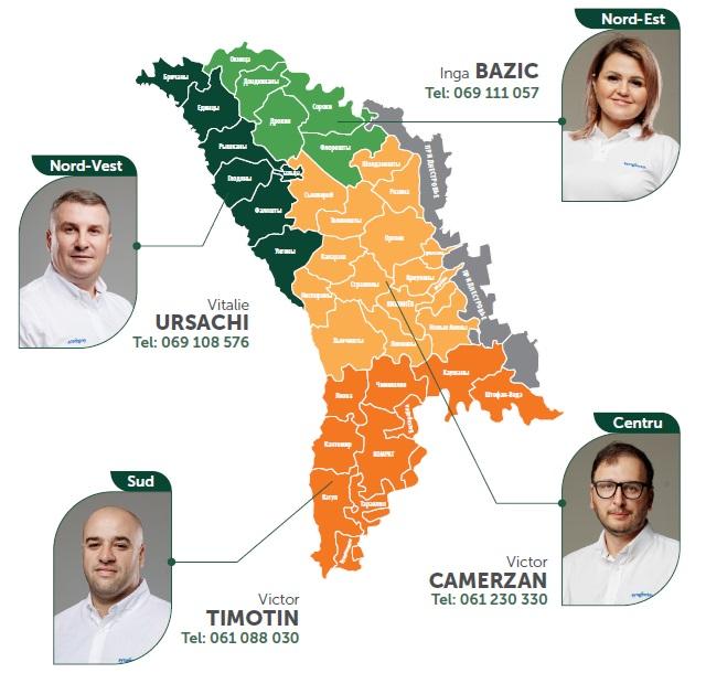 contacte echipa syngenta