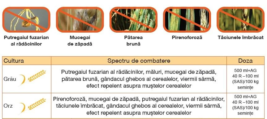 Doze Austral Plus 2026