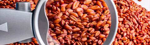 Seed Care